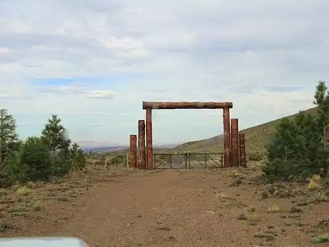 Estancia en Esquel, Productivo, Forestal, Caza y Pesca, Recreativo, a solo 20´de aeropuerto.