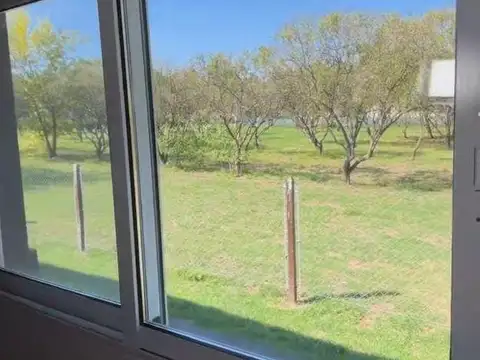 Azahares del Paraná