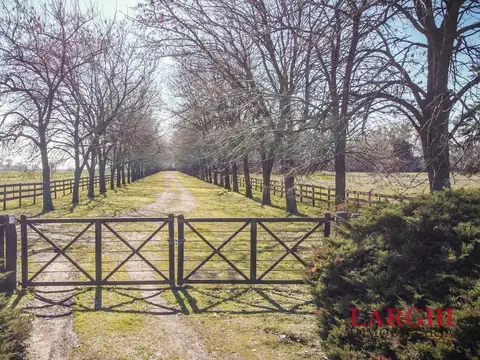 Excelente Campo en venta en Parada Robles, a solo 80km de CABA.