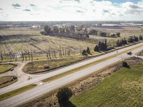 Excelente Campo en venta en Parada Robles, a solo 80km de CABA.