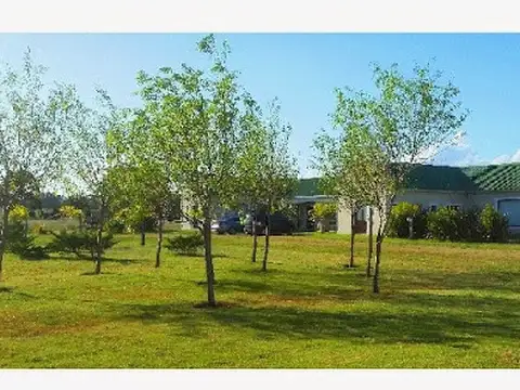 Quinta - Venta - Uruguay, Punta del Este