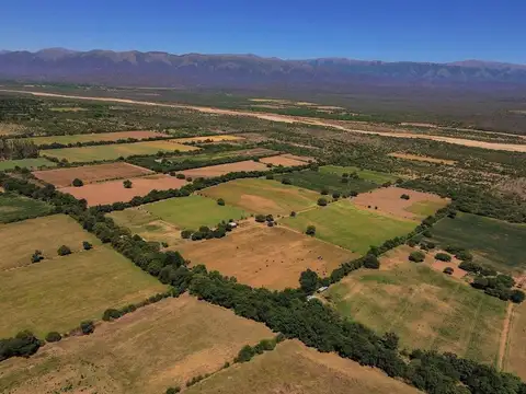 CAMPO 23 HA EN VENTA FINCA LA ESPERANZA GUACHIPAS