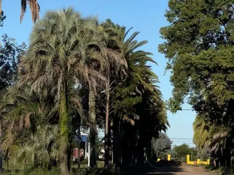 Terreno en Venta de 300,0 m2