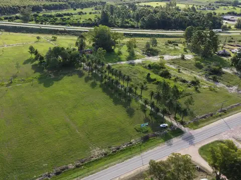 LOTEO Ruta de Las Palmeras- San Jose- FINANCIADO