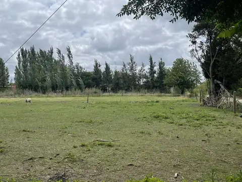 Terreno en Venta 25  mts Fondo