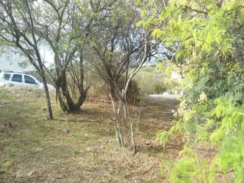 LA RUFINA- EL MEJOR LOTE!