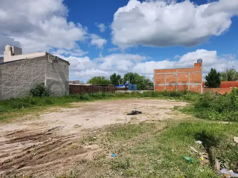 17-El Progreso , Piso 0