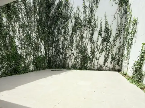 Local en Alquiler A Estrenar