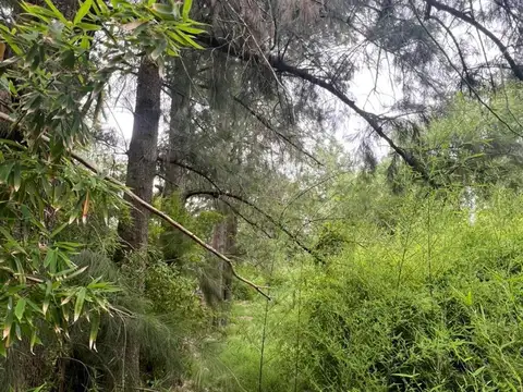 Terreno en Venta de 1045,0 m2