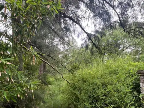 VENTA LOTE TERRENO 1.000 M² EN JUAN RACINE TIGRE