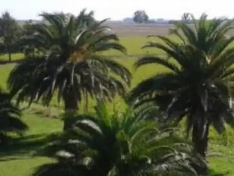 Ranchos, estanzuala 235 has, casco de 500 m2, parque y laguna.