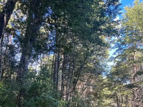 Terreno en Venta en San Carlos De Bariloche, USD 240.000