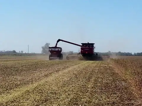CAMPO en Zavalla 125 HECTARES