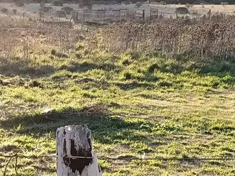 Quinta en Venta en Mar Del Plata, USD 50.000