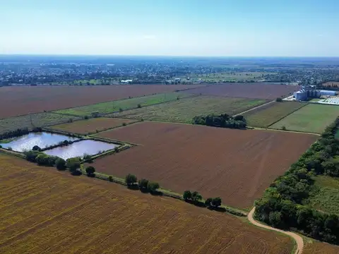 VENTA CAMPO 40 HA RUTA 9 APTO INDUSTRIAL O RURAL