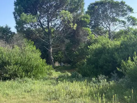 Terreno en Venta 45  mts Frente