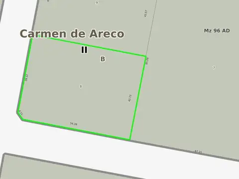 Alberti y Rosa Balzarett