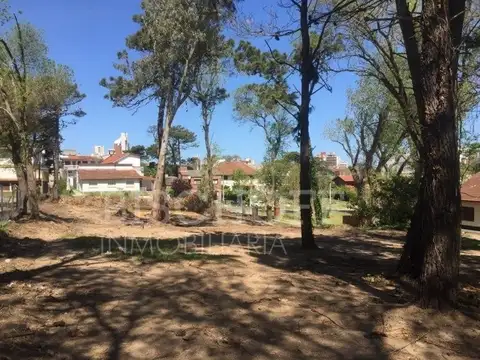 AVENIDA 4 E/ PASEOS 108 Y 109