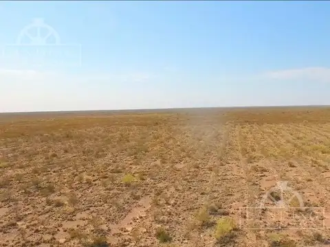 Campo en Venta - Finca Productiva en Mendoza