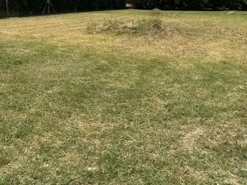 Terreno en Venta 30  mts Fondo