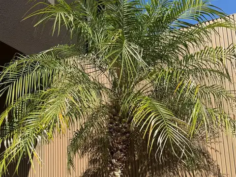 Casa en Venta de 6 dormitorios