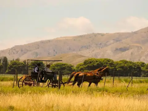 Ruta Provincial 76 - KM 232