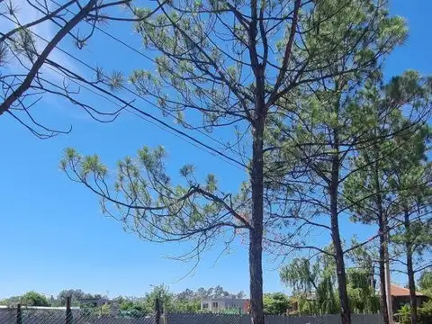 Terreno en Venta en Lujan De Cuyo, USD 35.000
