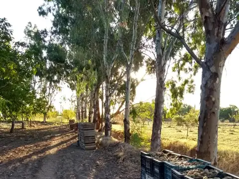 Quinta en Venta de 2 dormitorios