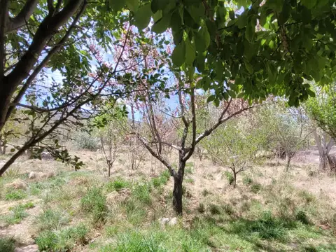 Terreno en Venta de 12400,0 m2