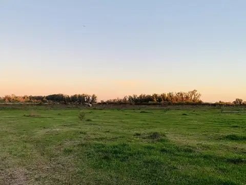 Terreno de 600 m2 a la venta en Uribelarrea - Cañuelas