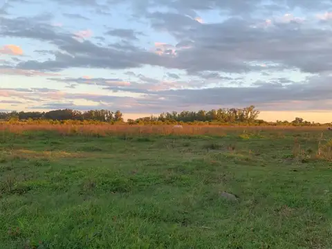 Terreno en Venta 20  mts Frente