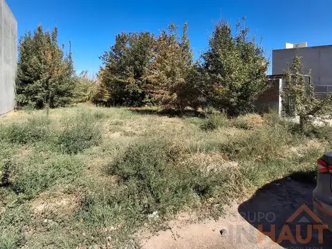 Terreno en Venta 12  mts Frente