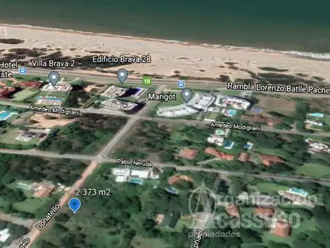 Pablo Picasso entre A. Miguel Angel y Pablo Neruda