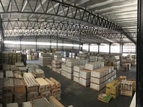 Carlos Pellegrini al 1900