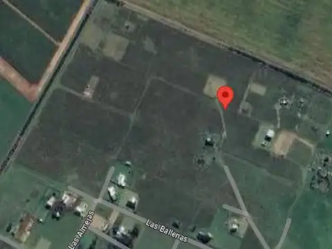 Los Mejillones y Los Nautilos