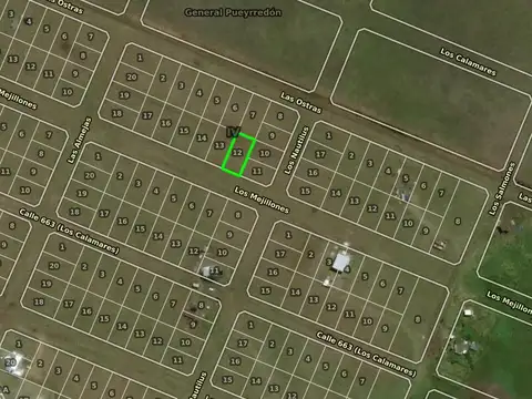 Los Mejillones y Los Nautilos