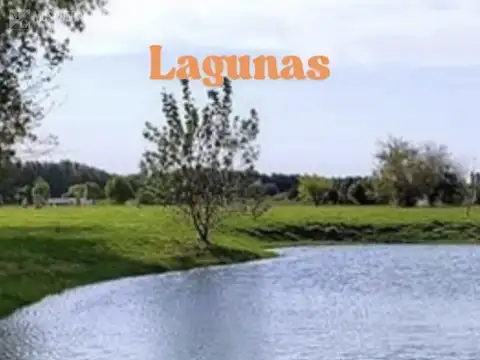 Terreno en Venta 21  mts Fondo