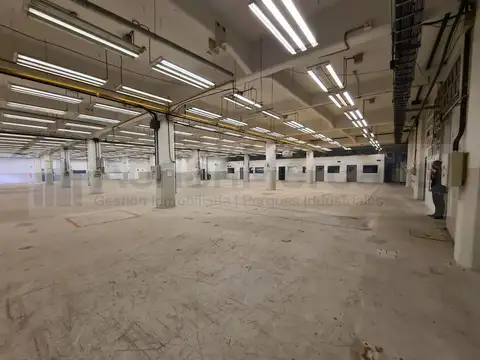 José Ignacio Rucci al 1000 ED. 8