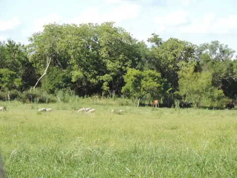 calle 243 esquina ayacucho paysandu