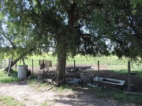 Oportunidad, chacra 18 ha / casa y aguada