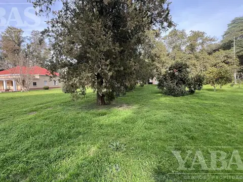 VENTA - CAMPO - 58 HECTAREAS - SAN PEDRO - (BUENOS AIRES)