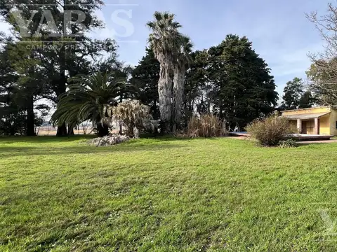 VENTA - CAMPO - 58 HECTAREAS - SAN PEDRO - (BUENOS AIRES)