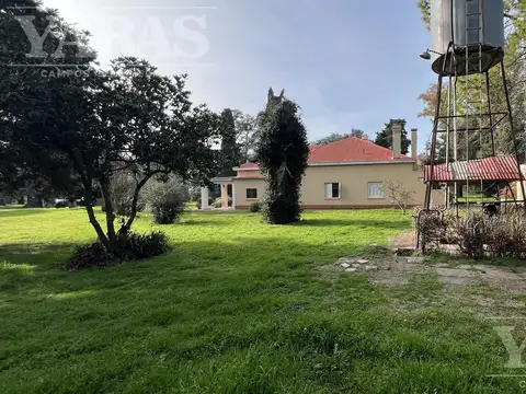 VENTA - CAMPO - 58 HECTAREAS - SAN PEDRO - (BUENOS AIRES)