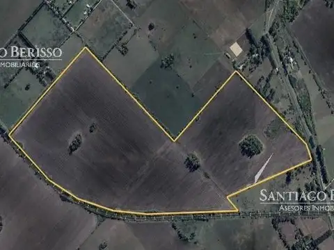 107 ha. Exaltación de la Cruz