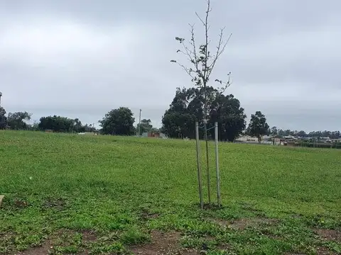 Terreno en Venta 30  mts Fondo