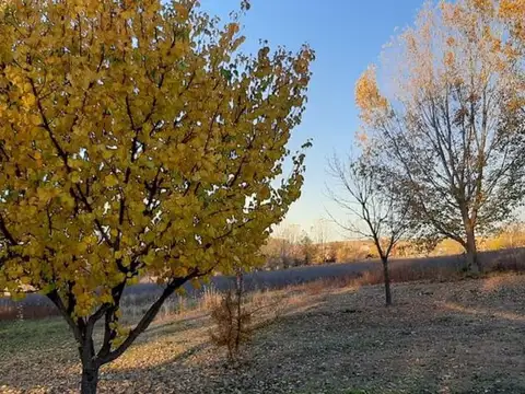 HACIENDAS EL TRAPICHE 100