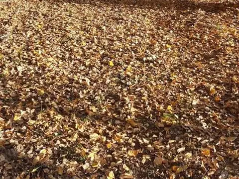 Terreno en Venta de 1500,0 m2