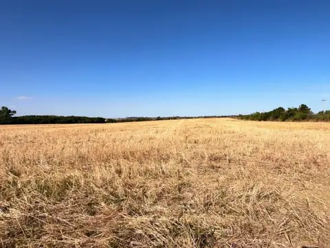 Chacra de 5has en Venta en San Pedro - Colonia