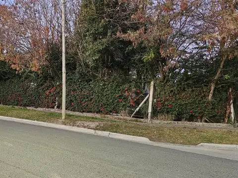 Casa en Venta 50 años