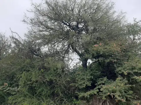 VENTA DE TERRENO AGUADITA DEL PORTEZUELO ETAPA 1